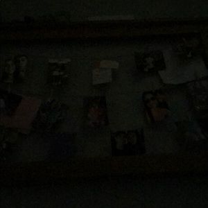 Meet your Posher, Gracie